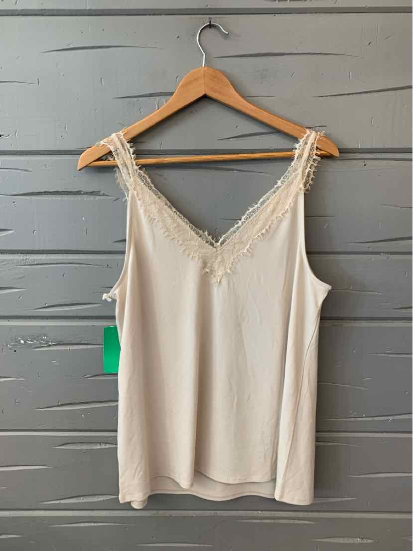 Cream sleeveless lace-trimmed V-neck tank top on wooden hanger against gray wall.