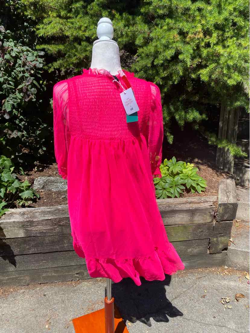 Bright pink long-sleeve midi dress with smocked bodice and flowing skirt displayed on dress form outdoors.