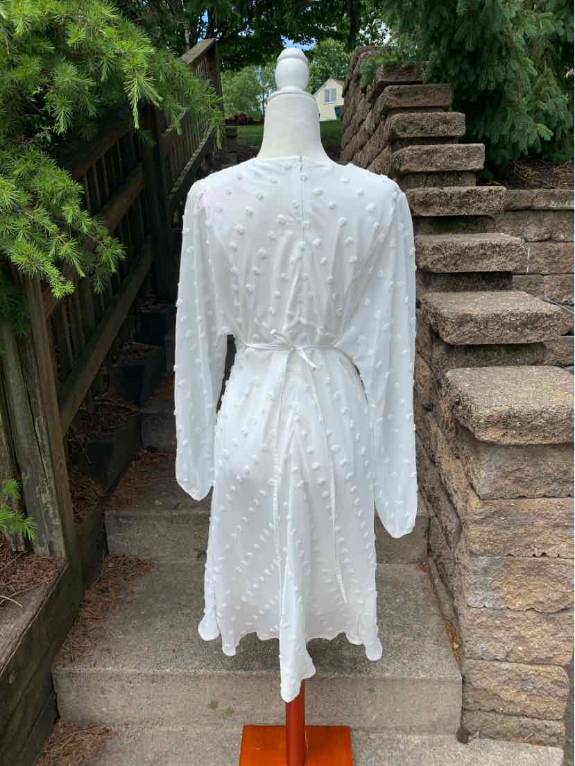 White long-sleeve dress with textured dot pattern, cinched waist, and knee-length hem.