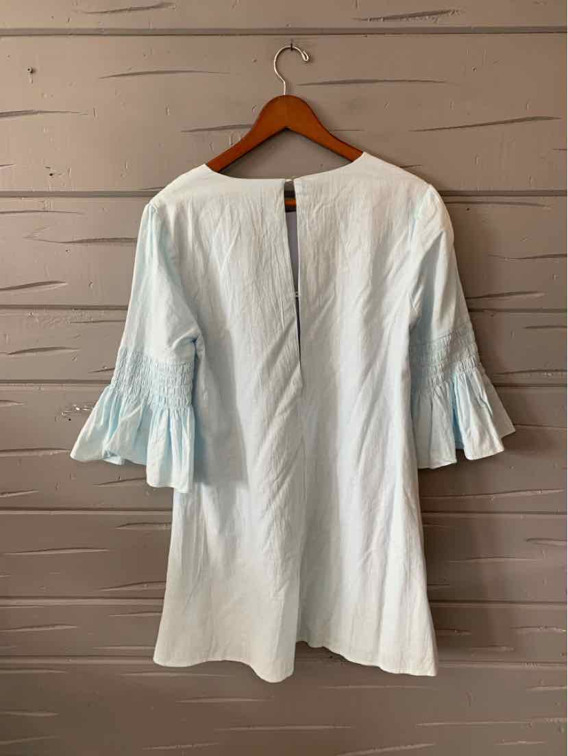 Light blue knee-length dress with pleated three-quarter sleeves and back button closure.