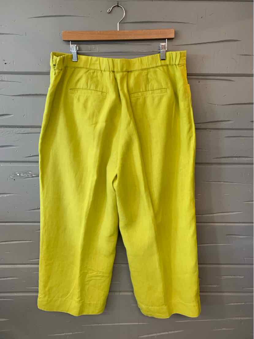 Bright lime green wide-leg pants with back welt pockets, elastic waistband, and cropped length.