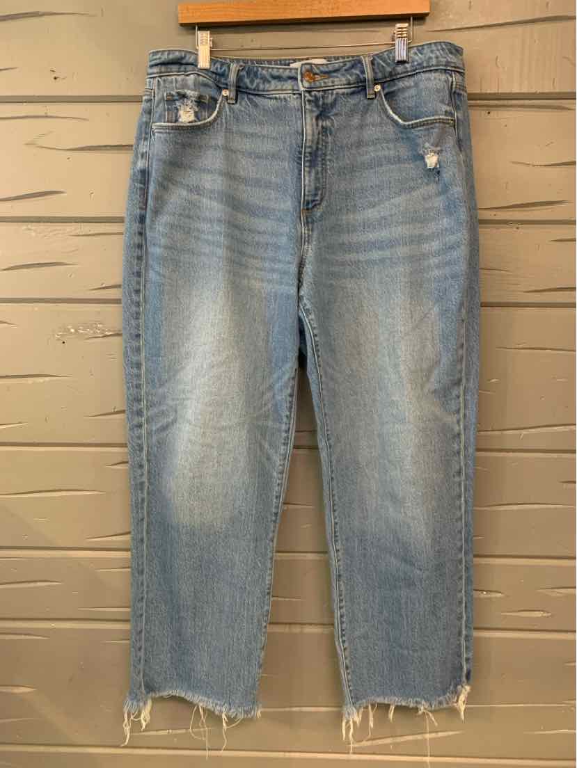 W LOFT BL Size 14 J