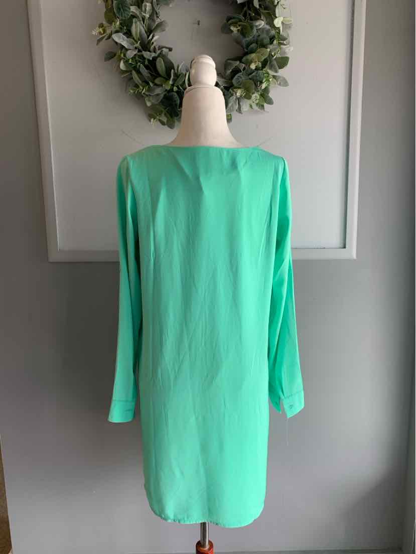 Light green long-sleeve dress with a simple, straight cut on mannequin against gray wall.