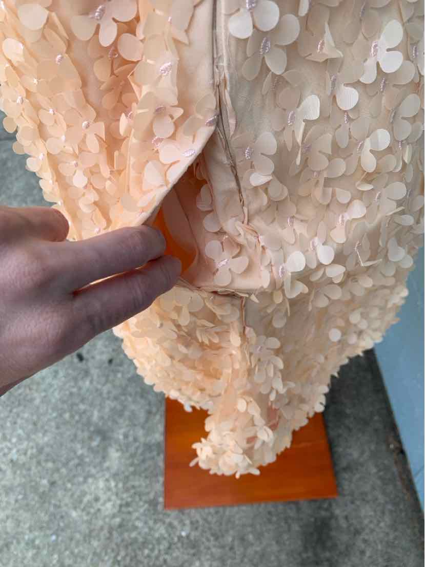 Light peach fabric dress with 3D floral appliques and gathered sleeve detail.
